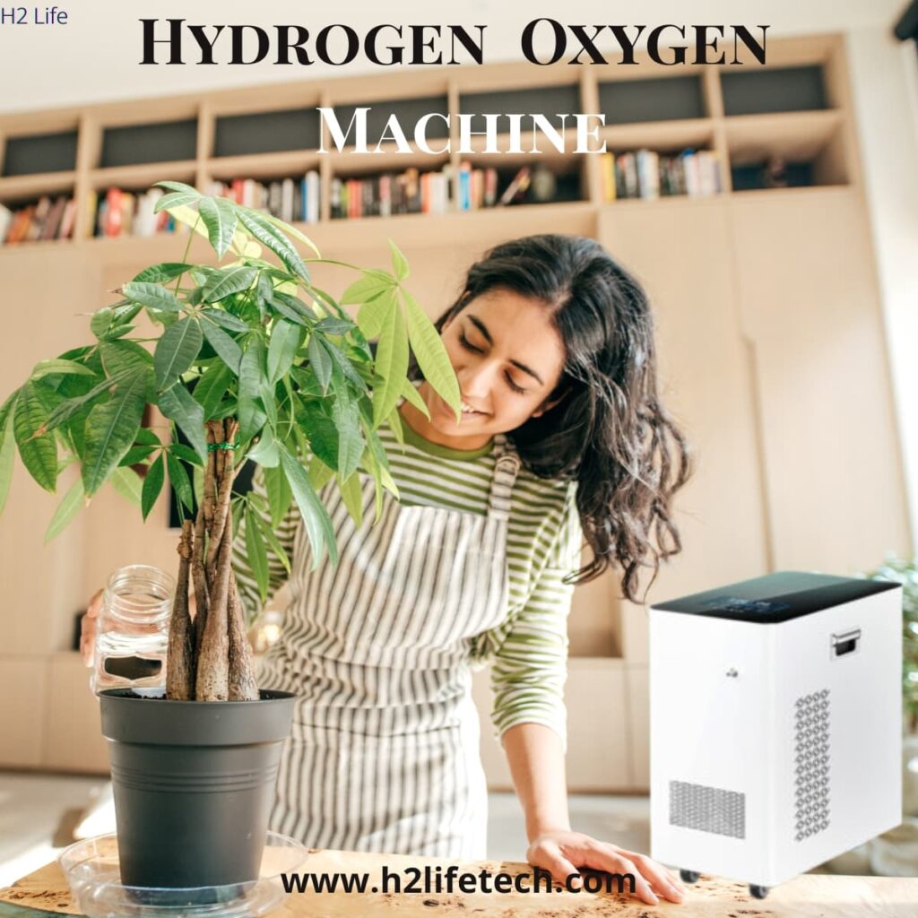 Hydrogen oxygen machine for health and beauty therapy, used for hydrogen inhalation and oxygen skin treatments